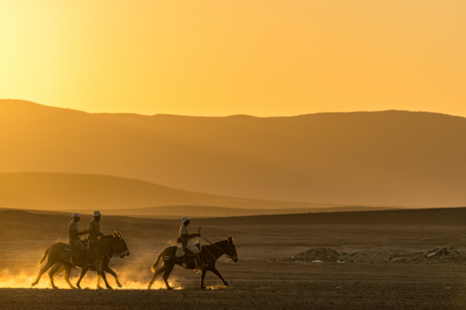 Our 2024 Big Give Christmas Appeal raised £84,332 to support Save the Rhino Trust’s (SRT) Mounted Patrol Unit (MPU) in Namibia’s Kunene Region.