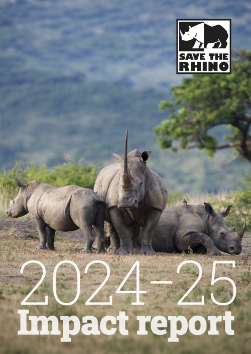 Impact Report 2024-25